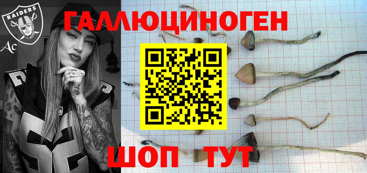 Рузаевка  где найти   Вход с VPN  Галлюциногенные грибы Cubensis 